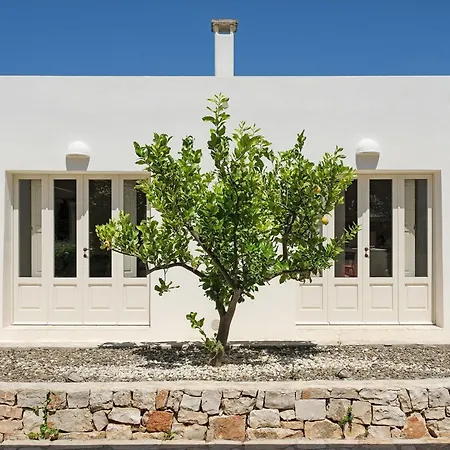 Mit Privatpool An Der Adriakueste By Interhome