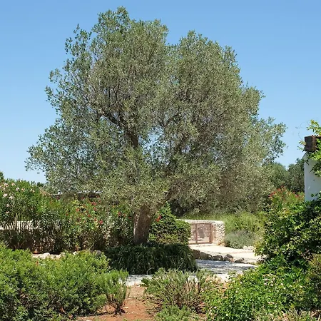 Mit Privatpool An Der Adriakueste By Interhome * Ostuni